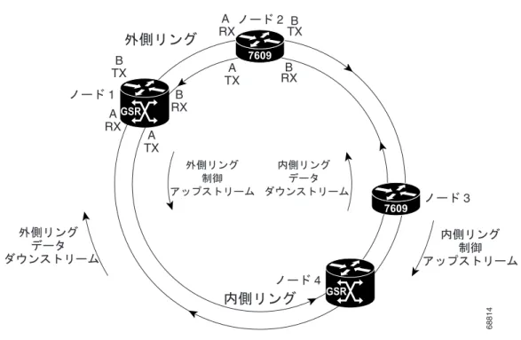 図 3-3 SRP/DPT リング例