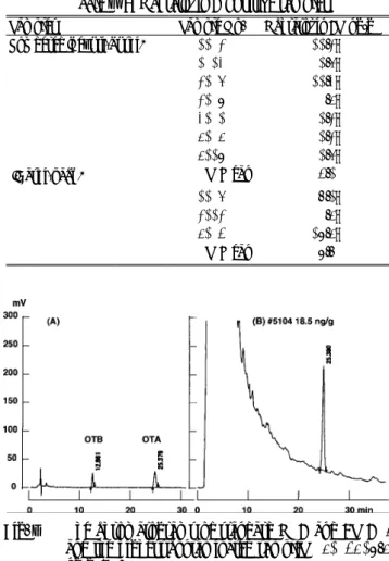 Fig. ２  The chromatograms of methylated standard OTA  and B  （A） , and sample from the highest  contami-nated sample  （#5104, 18.5 ng/g, B）.