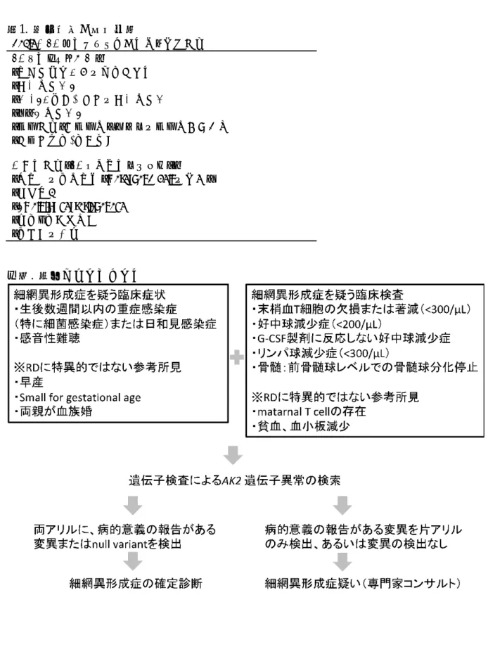 表 1.  臨床症状と検査所見 Table1. RD が疑われる臨床症状と検査所見  RD を疑うべき兆候：  ・生後数週間以内の細菌感染症  ・好中球数低値  ・G-CSF 製剤不応性の好中球数低下  ・リンパ球数低値  ・骨髄所見：前骨髄球レベルでの骨髄球分化停止  ・感音性難聴/聴力障害  付加的所見（RD に特異的ではない）：  ・母由来の血球生着（maternal T cell の検出）  ・早期産児 