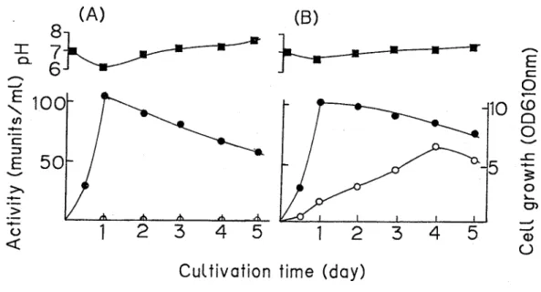 Fig  1  Growth and  enzyme  production  in  cultures  of  strain  No  C28 
