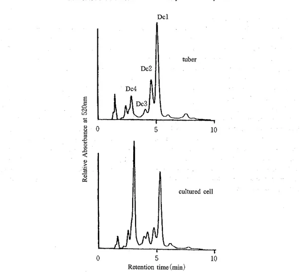 Fig.  1  .  HPLC  profiles  of  the  MeOH -1%HCl  extracts  from  the  cultured  cells  and  the  tubers  of  D  cirrhosa