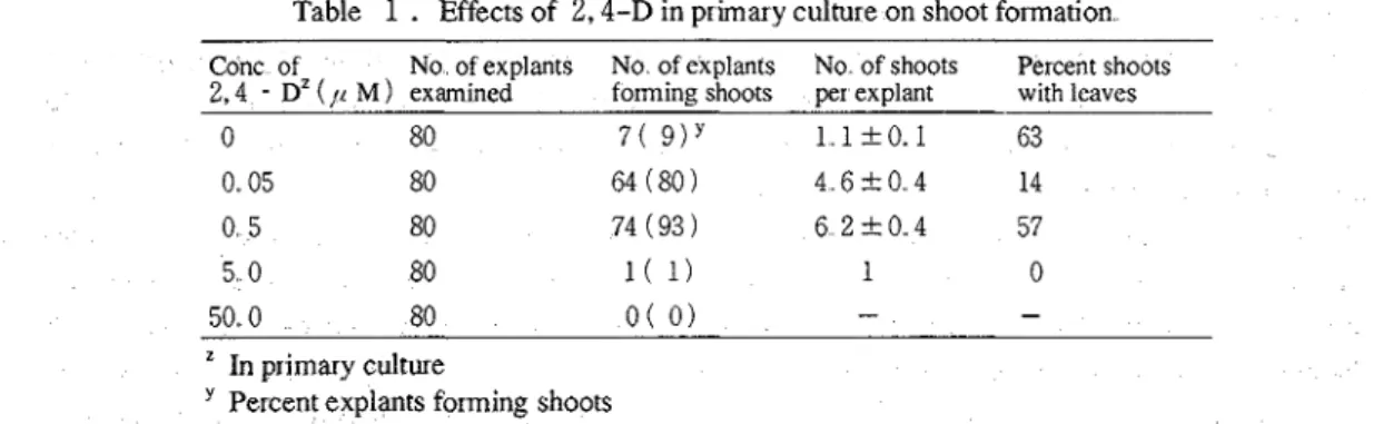 Table  1  .  Effects of  2,4-D  in primary culture on shoot formation 