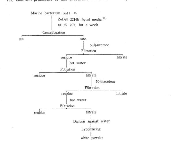 Fig 1  Isolation  procedures  of  a  polysaccharide  preparation  from  marine  bacterium  No  11  -  15, 