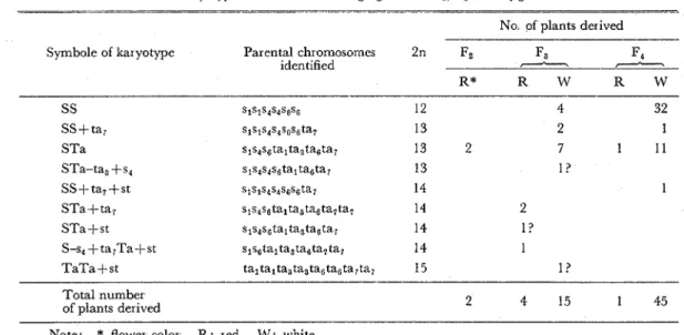 Table  3.  Karyotypes and flower  color  segregation in  F,,  Fs  and  F4 generations  No