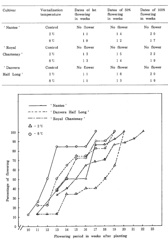Fig.  1,  Effect  of  two  vernalization  temperatures  on  flowering  of  three  cultivars  of  carrots.