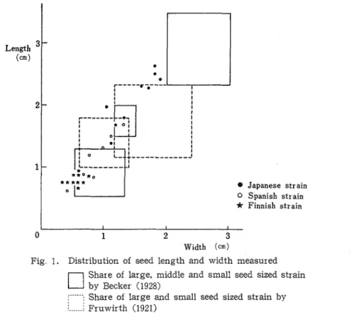 Fig.  1.  Distribution  of  seed  length  and  width  measured  Share  of  large,  middle  and  small seed  sized  strain  by  Becker  (1928) 