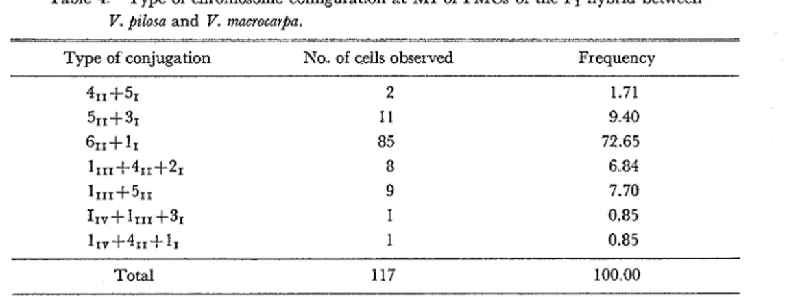 Table 4  Type of  chromosome configuration a t   MI  of  PMCs of  the  Fl  hybrid  between  V