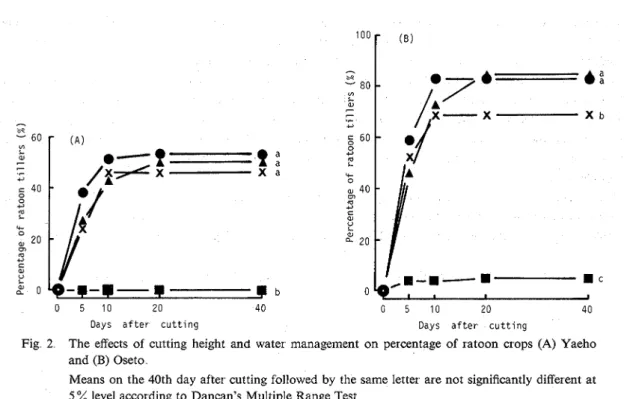 Fig  3  The effects of  cutting height and water  management  on ratoon height of  ratoon cxops (A) Yaeho  and (B) Oseto 
