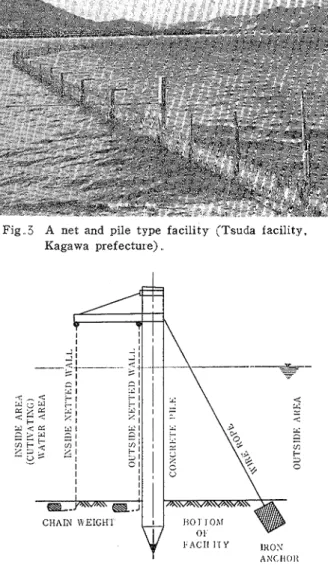Fig  3  A  net  and  pile  type  facility  (Tsuda  facility,  Kaeawa  ~refecture)  . 