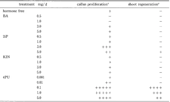Table  1. Effect  of  cytoltinin  on  callus proliferation  and  adventitious  shoot regeneration  of  kiwi  fruit  treatment  mg/  Q  callus proliferation&#34;  shoot  regenerationY 