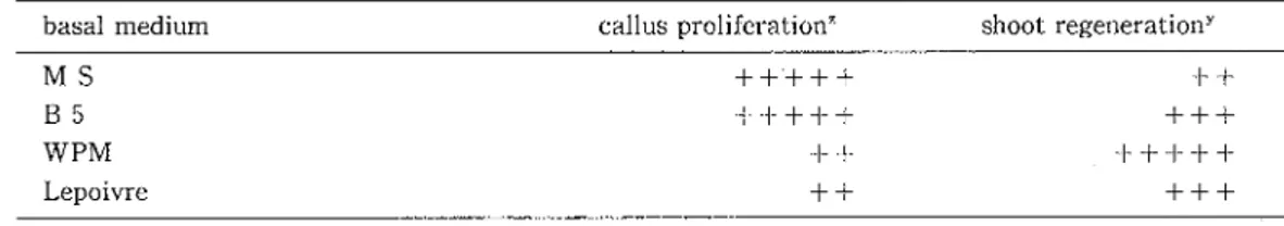 Table  4.  Effect  of  basal  medium  on callus  proliferation  and  adventitious  shoot  regeneration  of  kiwi  fruitX 