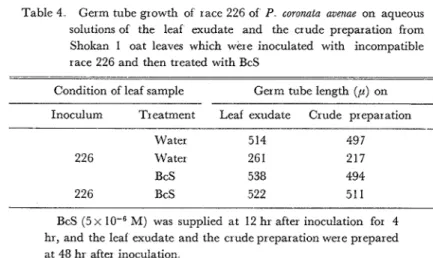 Table 4  Germ tube growth  of  race 226 of  P  coronata  avenue  on  aqueous  solutions of  the  leaf  exudate  and  thc  crude  preparation  from  Shokan  1  oat  leaves  which  were  inoculated  with  incompatible  race 226 and then  treated  with BcS 