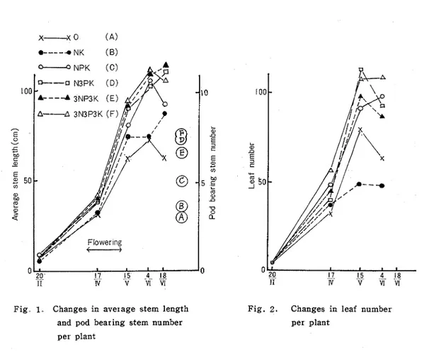 Fig  1.  Changes  in  average  stem  length  Fig.  2.  Changes  in  leaf  number 