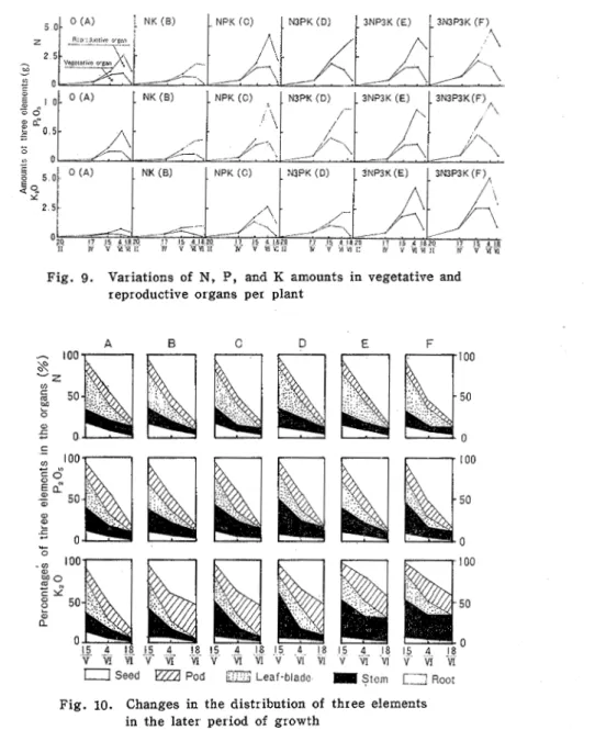 Fig.  9.  Variations  of  N,  P,  and  K  amounts  in  vegetative  and  reproductive  organs  per  plant 