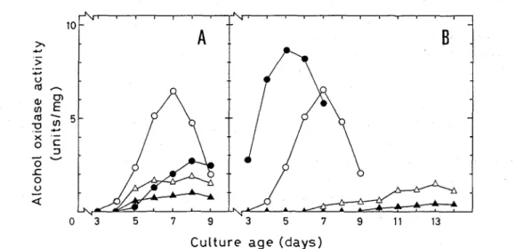 Fig, 1  Effect  of  culture  conditions  on  the  production  of  alcohol  oxidase  by  P  chrysospor~um