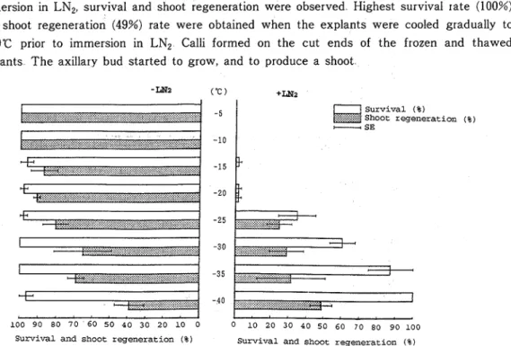 Fig  2  Survival  and  shoot  regeneration  of  explants  cooled  gradually  to  various  temperature 