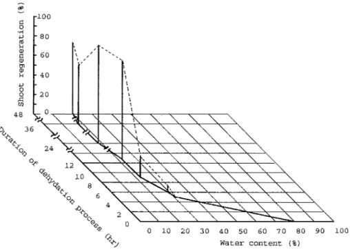 Fig.  4  Shoot  regeneration  of  encapsulated  explants  after  direct  immersion  in  LN2