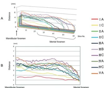 Fig 8 The distance average that measured perpendicularly in the buccal side cortical bone inboard surface from the mandibular  ca-nal center in each para-axial aspects slice from mandibular  fora-men to fora-mental forafora-men.