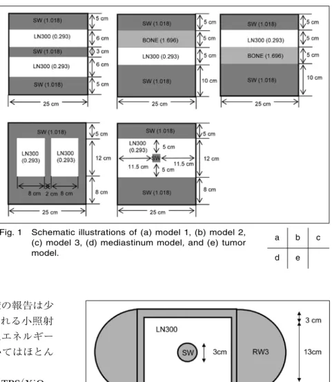 Fig. 1 に示す仮 想的な不 均質モデルでは EGSnrc/ BEAMnrc コード 13, 14） と EGSnrc/DOSXYZnrc コード 15） を，Fig