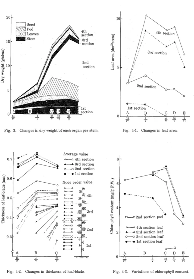 Fig  3  Changes in dry weight of  each organ per  stem  Fig  4-1  Changes in  leaf  area 