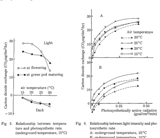 Fig  5  Relationship  between  tempera-  Fig  6  Relationship between light intensity and pho-  ture and photosynthetic  rate  tosynthetic  rate 