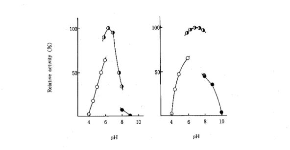 Fig  2  Effects of  pH  on  the  Activity  and  Stability  of  t h e 1  -Mannosidase  from  FO  1-2A 