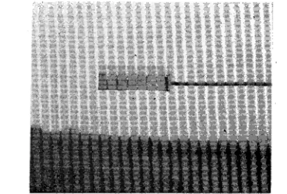 Fig.  1.  S a m p l e r   f o r   measurement  of  d r i f t s .   l c m  