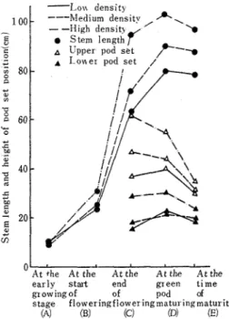 Fig  1  Changes in stem length and height of  pod set position 