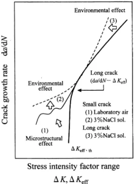 Fig.  9.  Comparison  of  crack  growth  behavior  between  small and long cracks. 