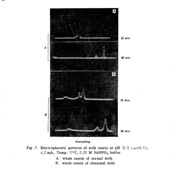 Fig  9.  Electrophoretic  patterns  of  milk  casein  a t   pH  12  0  (  p,=0.1)  ;  6.0 mA,  Temp