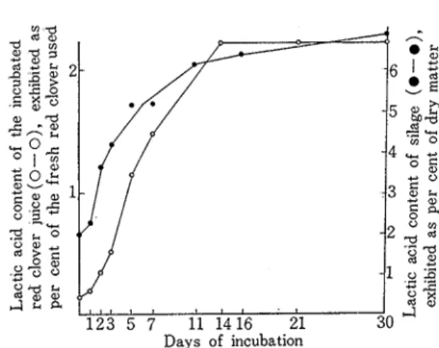 Figure  3  Comparison in  lactic  acid  formation  during incubation between  the incubated red clover  juice  and a  practical silage