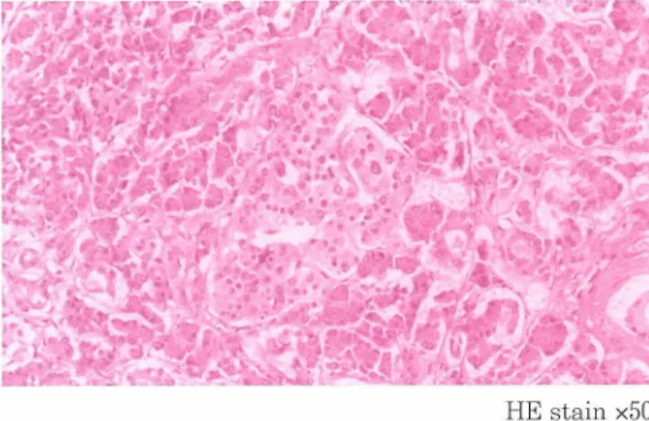 Figure 3. Immunohistochemical staining of representative islets. Magnification is xlOO