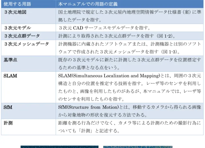 図   1-2  ３次元点群データ      図  1-3  ３次元メッシュデータ 