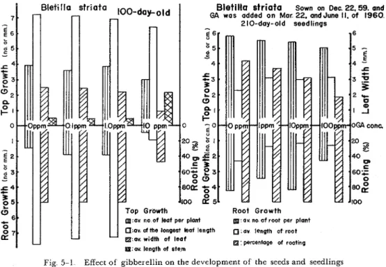 Fig  5-1  Effect of  gibberellin on the development  of  the  seeds and  seedlings  of  Bletilla  rtrzata  Basal medium: Knudson's  soln  C  Flasks  were  stopped  with cotton  plugs 