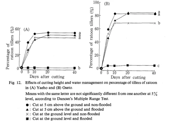 Figure 13 shows  the  changes  in  ratoon  height  following  cutting.  In  the  treatment  where  cutting  height was the ground level and water  depth was 5 cm, there was observed extremely low ratoon height  in Oseto, and was hardly observed ratoon grow