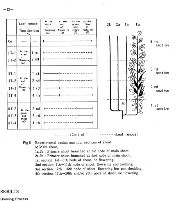 Fig 6  Experimental design  and  four  sections of  shoot  M:Main  shoot, 