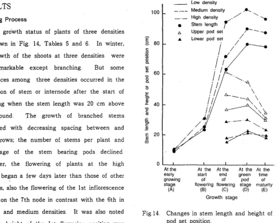 Table  5  Effects of  density  on  the  flower,  pod,  and  seed 