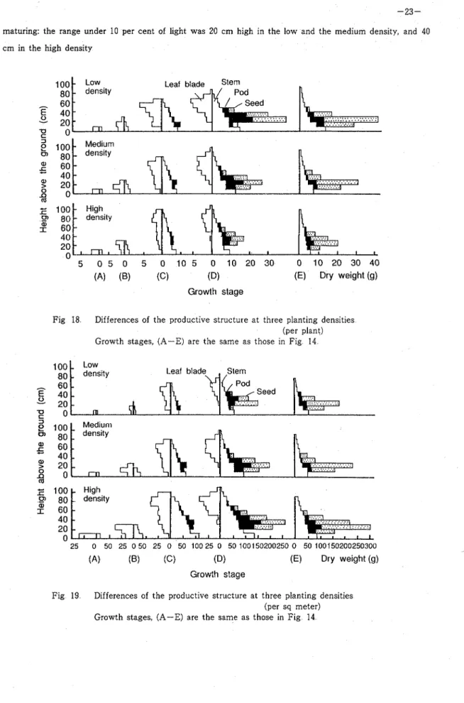 Fig  18  Differences  of  the  productive  structure at  three  planting  densities  (per  plant)  Growth  stages,  (A-E)  are  the  same  as  those  in  Fig  14 