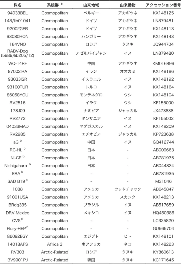 表 表 1-3.  分子系統学的解析に用いた狂犬病ウイルス株 株名  系統群  a  由来地域  由来動物  アクセッション番号  94033BEL  Cosmopolitan  ベルギー  アカギツネ  KX148125  148/lib01041  Cosmopolitan  ドイツ  アカギツネ  LN879481  92002GER  Cosmopolitan  ドイツ  アカギツネ  KX148113  93080HON  Cosmopolitan  ハンガリー  アカギツネ  KX148143 