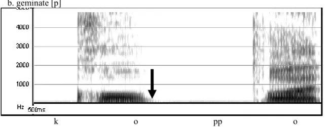 Figure 3: Spectrograms of [p] and [pp] pronounced by Speaker W. Voicing leakage is  observed, indicating that voicing cessation and closure do not completely  coincide