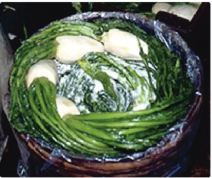 Figure 1. Suguki   