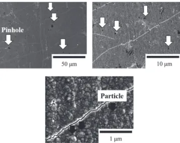 Fig. 10　 Surface SEM images of Ni-Sn layer with diﬀerent resolution. The 