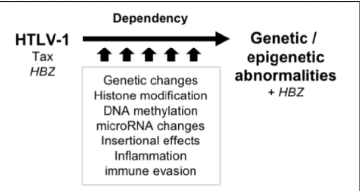 FIGURE 1 | Transition of the molecular characteristics during latent period.