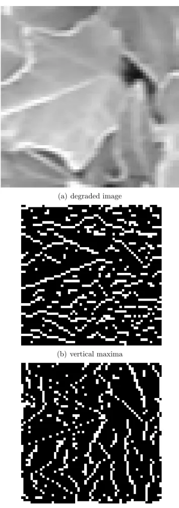 Figure 4.1: Maxima locations for images degraded by HM.