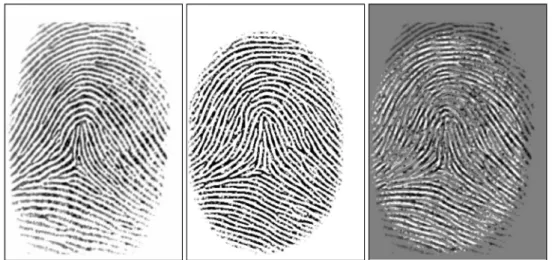 Figure 1.3: From left to right: original fingerprint, reconstructed fingerprint, and overlay of the two images as shown in [8].