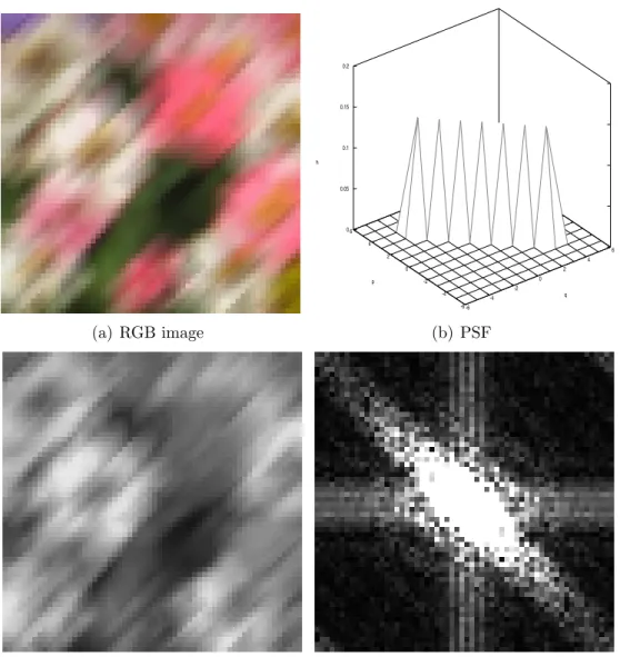 Figure 2.4: Image with 45 o motion blur.