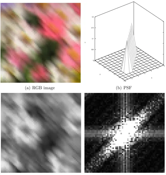 Figure 2.6: Image with 135 o motion blur.