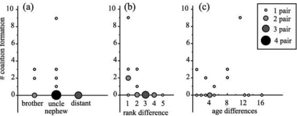 Fig. 4. Number of coalitions formed among the 6 highest-ranking males. Relationships with