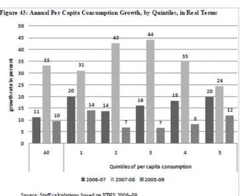 図表 17  階層別一人あたり消費の実質成長率（2007 年-2009 年） 35