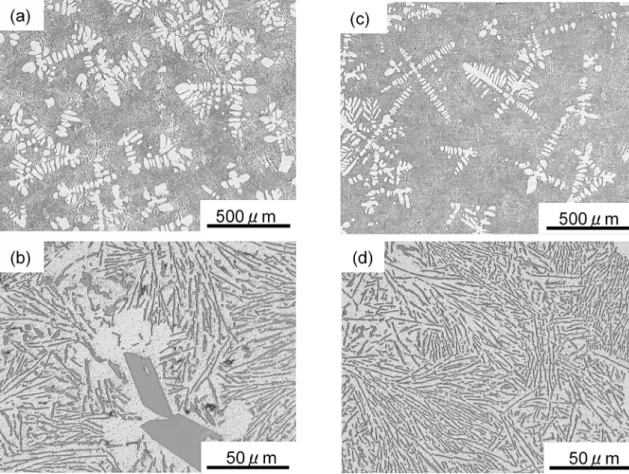Fig. 1 Optical microscope images of solidification structure, (a) and (b): LAlloy, (c) and (d): HAlloy.